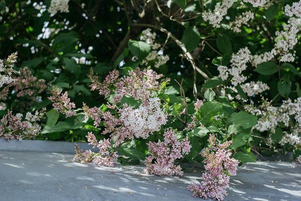 Meubles made in france : personnalisez votre intérieur avec 4 pieds