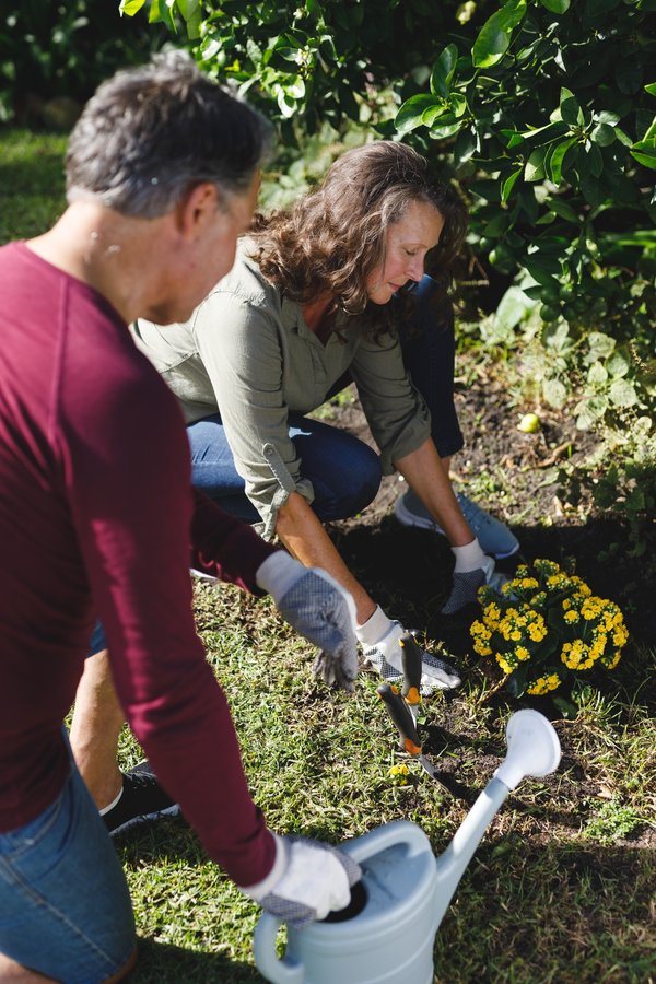 Amoureux du jardinage : découvrez les secrets d'un jardin florissant